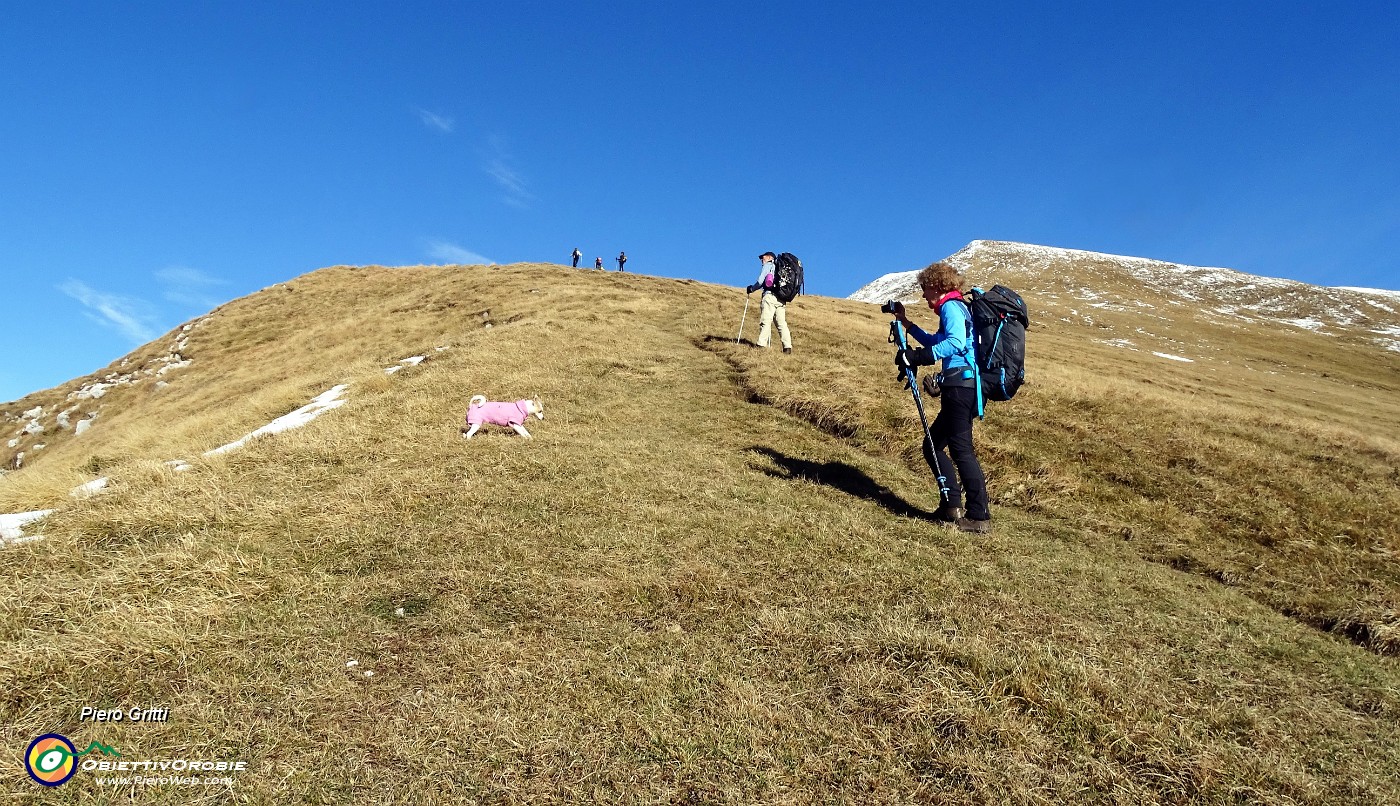 25 In decisa salita per la cresta sud di Cima Grem.JPG -                                